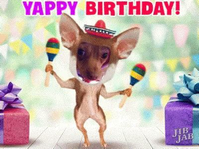 Happy Birthday Lets have a Fiesta card. . Chihuahua happy birthday gif